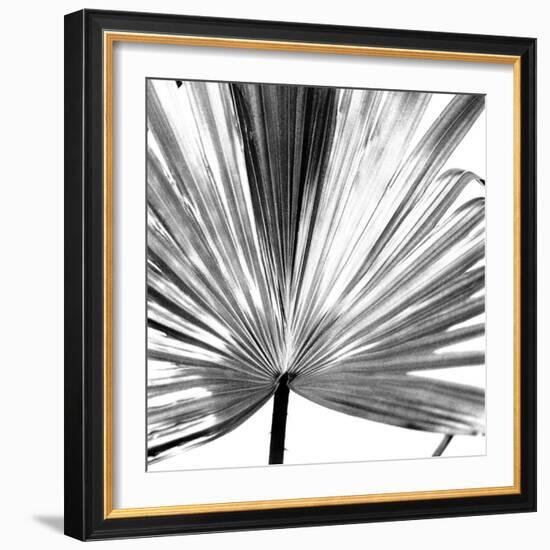 Black and White Palms III-Jason Johnson-Framed Art Print