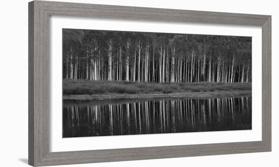 Black And White Panoramic Shot Of Willow Lake, Big Cottonwood Canyon, Utah-Austin Cronnelly-Framed Photographic Print