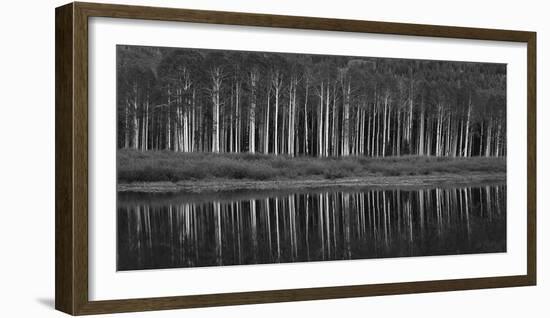 Black And White Panoramic Shot Of Willow Lake, Big Cottonwood Canyon, Utah-Austin Cronnelly-Framed Photographic Print