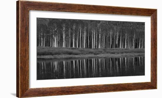 Black And White Panoramic Shot Of Willow Lake, Big Cottonwood Canyon, Utah-Austin Cronnelly-Framed Photographic Print