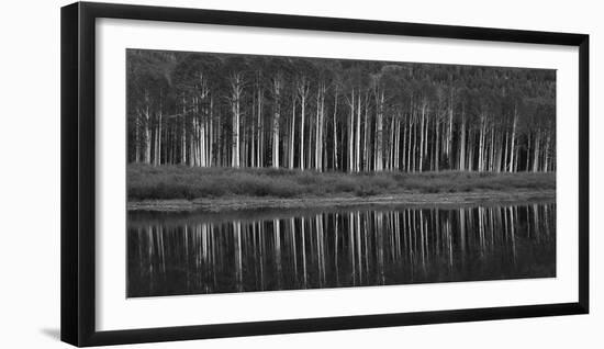 Black And White Panoramic Shot Of Willow Lake, Big Cottonwood Canyon, Utah-Austin Cronnelly-Framed Photographic Print