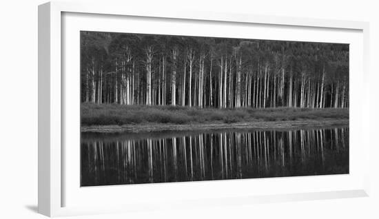 Black And White Panoramic Shot Of Willow Lake, Big Cottonwood Canyon, Utah-Austin Cronnelly-Framed Photographic Print