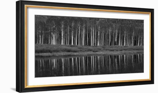 Black And White Panoramic Shot Of Willow Lake, Big Cottonwood Canyon, Utah-Austin Cronnelly-Framed Photographic Print