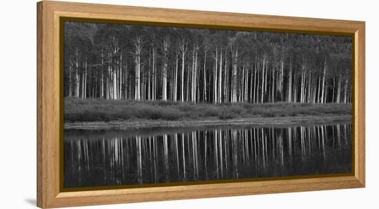 Black And White Panoramic Shot Of Willow Lake, Big Cottonwood Canyon, Utah-Austin Cronnelly-Framed Premier Image Canvas