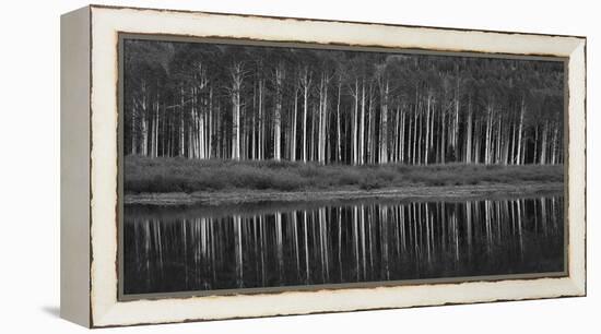 Black And White Panoramic Shot Of Willow Lake, Big Cottonwood Canyon, Utah-Austin Cronnelly-Framed Premier Image Canvas