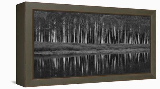 Black And White Panoramic Shot Of Willow Lake, Big Cottonwood Canyon, Utah-Austin Cronnelly-Framed Premier Image Canvas