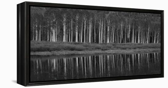 Black And White Panoramic Shot Of Willow Lake, Big Cottonwood Canyon, Utah-Austin Cronnelly-Framed Premier Image Canvas