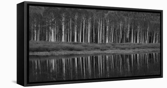 Black And White Panoramic Shot Of Willow Lake, Big Cottonwood Canyon, Utah-Austin Cronnelly-Framed Premier Image Canvas