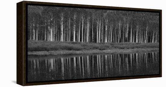 Black And White Panoramic Shot Of Willow Lake, Big Cottonwood Canyon, Utah-Austin Cronnelly-Framed Premier Image Canvas