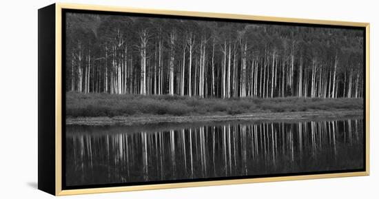 Black And White Panoramic Shot Of Willow Lake, Big Cottonwood Canyon, Utah-Austin Cronnelly-Framed Premier Image Canvas