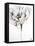 Black and White Poppies I-Patricia Pinto-Framed Stretched Canvas