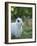 Black and White Rex Rabbit with Doe in Background, Oryctolagus Cuniculus-Maresa Pryor-Framed Photographic Print