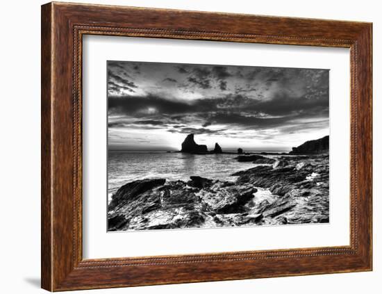 Black and White Rocky Coast-Nish Nalbandian-Framed Art Print