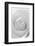 Black and White Rose Abstract-Anna Miller-Framed Photographic Print