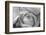 Black and White Rose Detail-Anna Miller-Framed Photographic Print