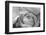 Black and White Rose Detail-Anna Miller-Framed Photographic Print