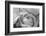 Black and White Rose Detail-Anna Miller-Framed Photographic Print