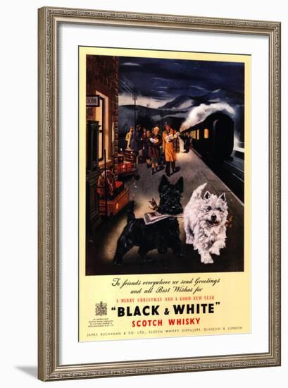 Black and White Scotch-null-Framed Art Print