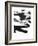 Black and White Strokes 5-Iris Lehnhardt-Framed Art Print