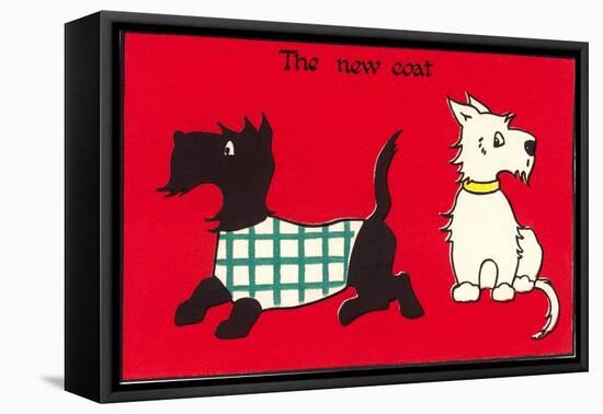Black and White Terriers the New Coat-null-Framed Stretched Canvas