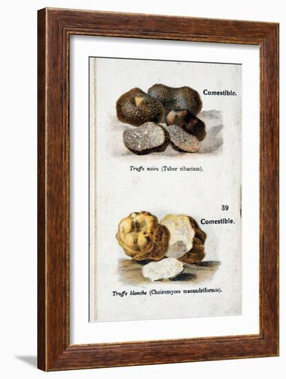 Black and White Truffles-null-Framed Giclee Print