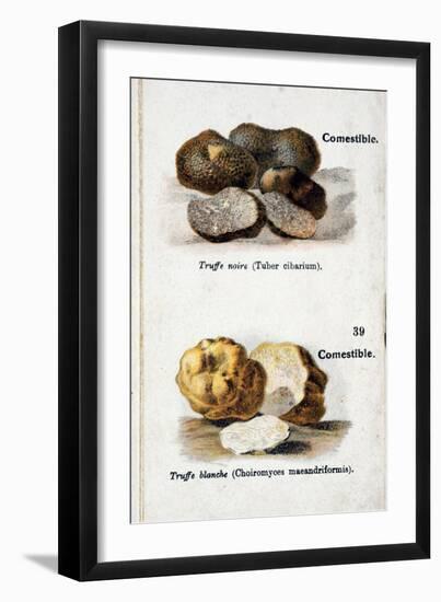 Black and White Truffles-null-Framed Giclee Print