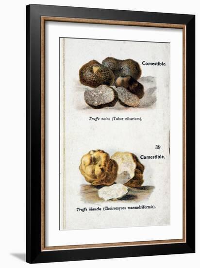 Black and White Truffles-null-Framed Giclee Print