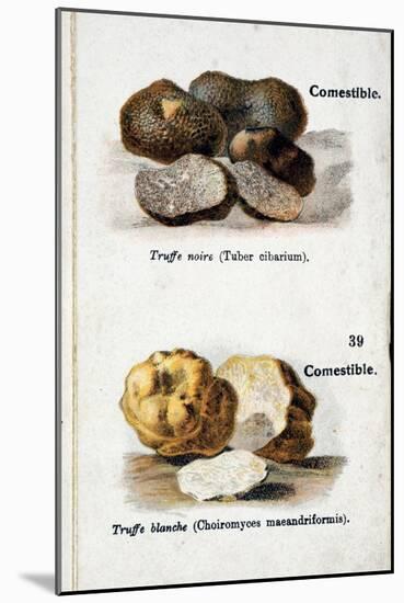 Black and White Truffles-null-Mounted Giclee Print