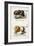 Black and White Truffles-null-Framed Giclee Print