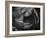 Black and White Tulip Close-Up-Magda Indigo-Framed Photographic Print