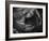 Black and White Tulip Close-Up-Magda Indigo-Framed Photographic Print