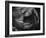 Black and White Tulip Close-Up-Magda Indigo-Framed Photographic Print