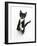 Black and White Tuxedo Kitten, Tuxie, Standing Up on Haunches and Looking Up with Raised Paws-Mark Taylor-Framed Photographic Print