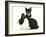 Black-And-White Tuxedo Male Kitten, Tuxie, 8 Weeks-Mark Taylor-Framed Photographic Print