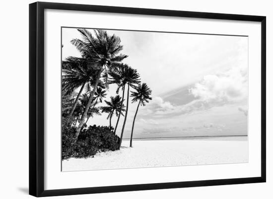 Photo, , large