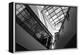 Black and White view of glass ceiling-null-Framed Stretched Canvas