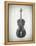 Black and White Violin-Dan Sproul-Framed Stretched Canvas