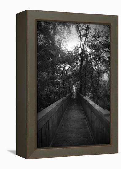 Black And White Walkway-Julie Fain-Framed Stretched Canvas