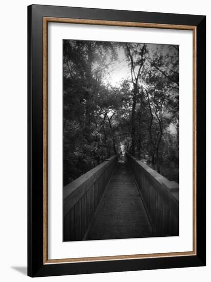 Black And White Walkway-Julie Fain-Framed Art Print