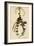 Black-And-White Warbler-John James Audubon-Framed Giclee Print