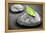 Black and White Zen Stones Submerged in Water with Color Accented Green Leaf-elenathewise-Framed Premier Image Canvas