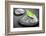 Black and White Zen Stones Submerged in Water with Color Accented Green Leaf-elenathewise-Framed Photographic Print