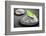 Black and White Zen Stones Submerged in Water with Color Accented Green Leaf-elenathewise-Framed Photographic Print