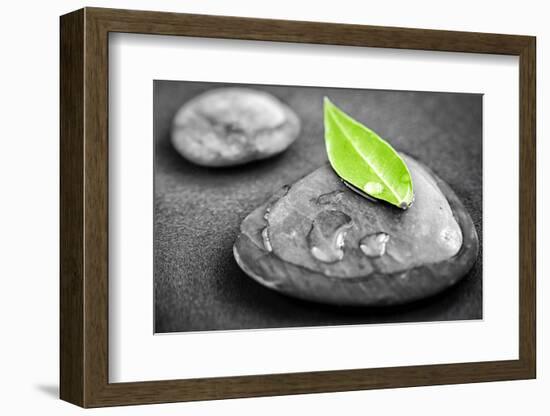 Black and White Zen Stones Submerged in Water with Color Accented Green Leaf-elenathewise-Framed Photographic Print