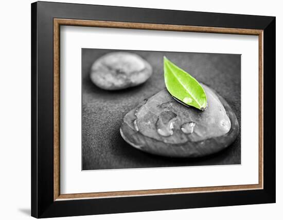 Black and White Zen Stones Submerged in Water with Color Accented Green Leaf-elenathewise-Framed Photographic Print