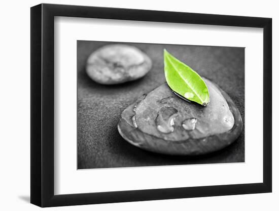 Black and White Zen Stones Submerged in Water with Color Accented Green Leaf-elenathewise-Framed Photographic Print