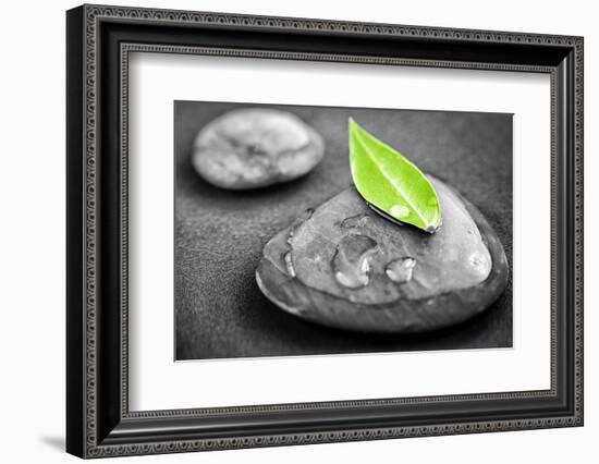 Black and White Zen Stones Submerged in Water with Color Accented Green Leaf-elenathewise-Framed Photographic Print