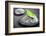 Black and White Zen Stones Submerged in Water with Color Accented Green Leaf-elenathewise-Framed Photographic Print