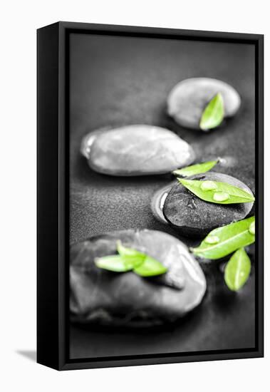 Black and White Zen Stones Submerged in Water with Color Accented Green Leaves-elenathewise-Framed Premier Image Canvas