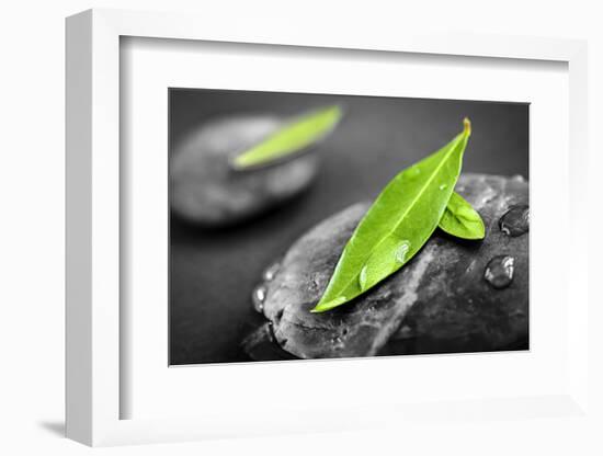 Black and White Zen Stones Submerged in Water with Color Accented Green Leaves-elenathewise-Framed Photographic Print